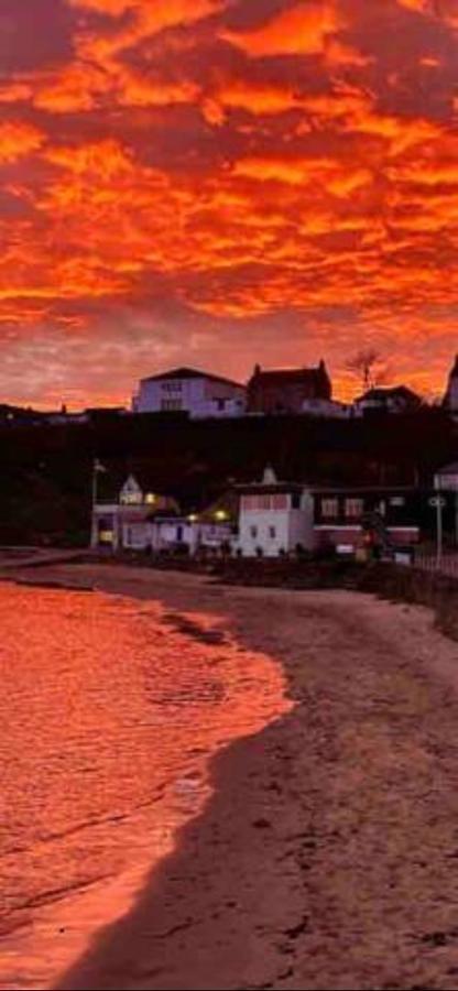The Holiday Hoose Kinghorn エクステリア 写真